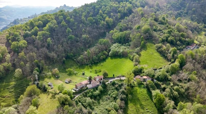 Asturias - Mieres - 32000m2