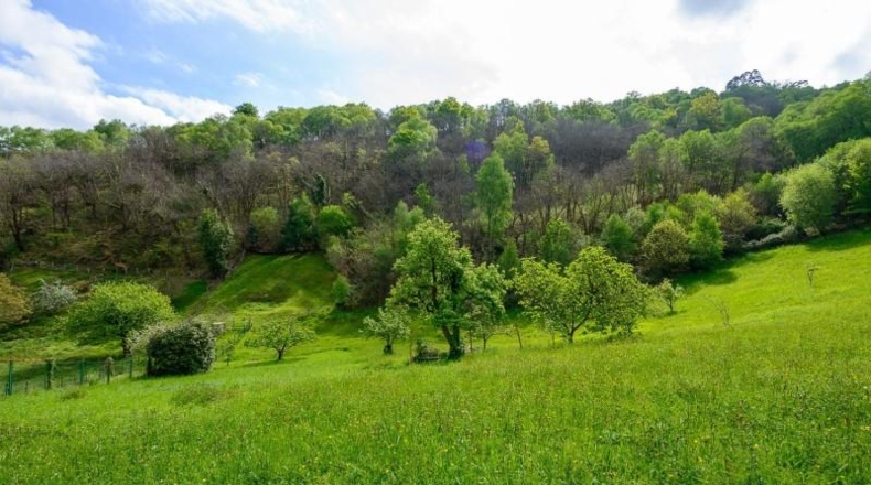 Asturias - Mieres - 32000m2