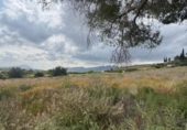 Casa de campo con terreno en venta en la España, Abanilla, ref: TR405778 foto