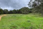 Terreno no urbanizable en venta en la España, Humilladero, ref: TR314896 foto