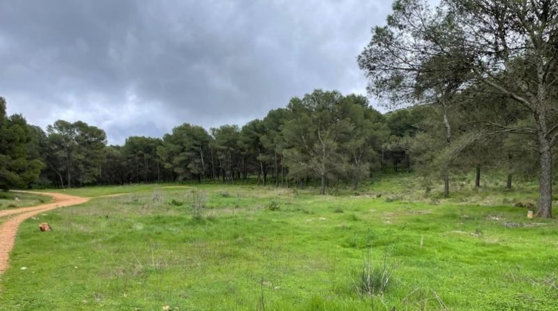 Málaga - Humilladero - 38150m2