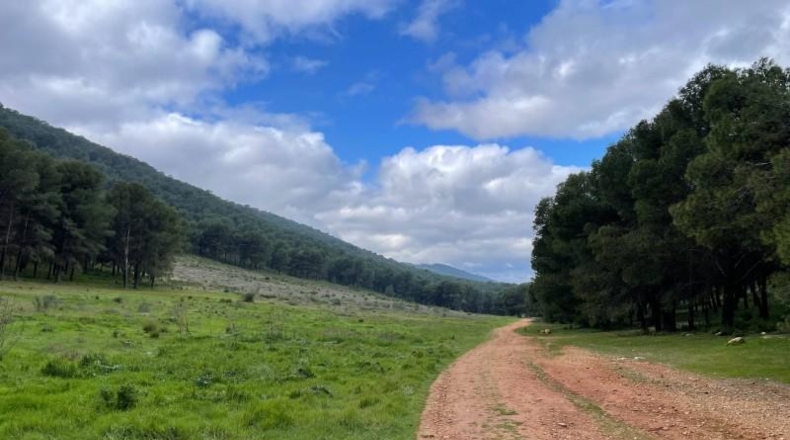 Málaga - Humilladero - 38150m2