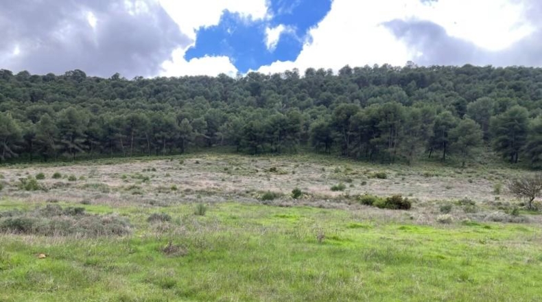 Málaga - Humilladero - 38150m2