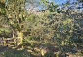 Finca rústica en venda a la España, Valle, ref.: TR405145 foto