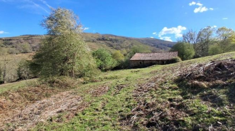 Cantabria - Valle - 9511m2