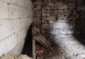 Дом с участком на продажу в городе Оренсе. Фото