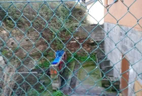 Foto 10