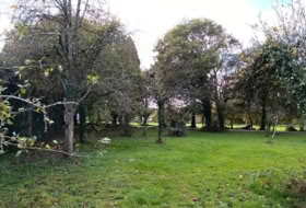 Castro de Rei 30000&nbsp;m² 