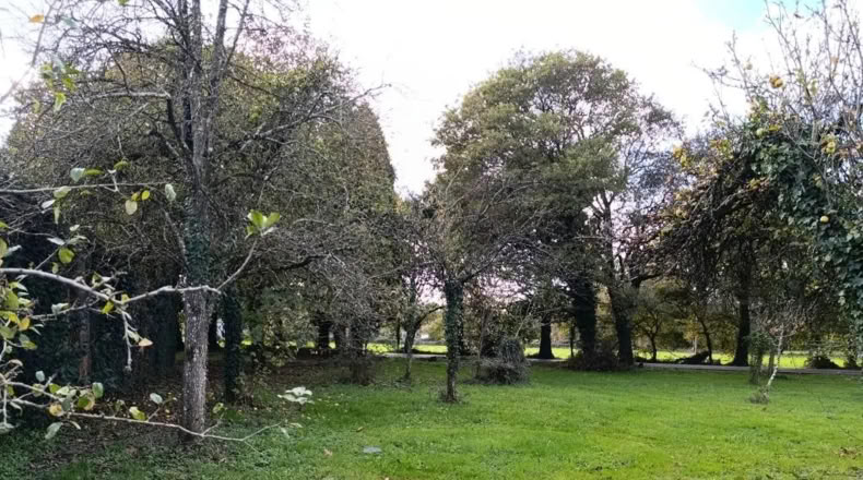 Lugo - Castro de Rei - 30000m2