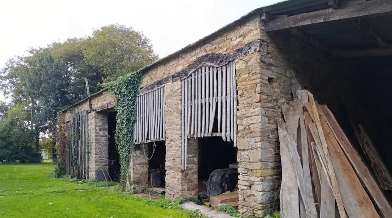 Lugo - Castro de Rei - 30000m2