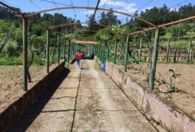 Foto 9