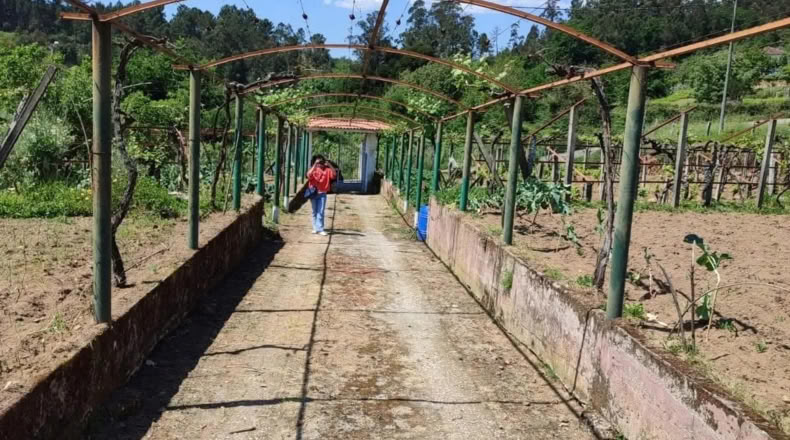 Orense - Cortegada - 2000m2