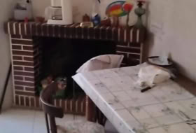 Foto 14