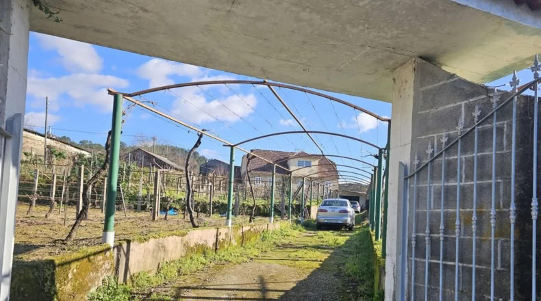 Orense - Cortegada - 2000m2