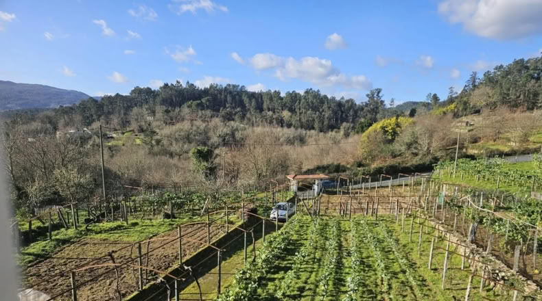 Orense - Cortegada - 2000m2