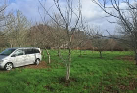Boborás 2200&nbsp;m² 