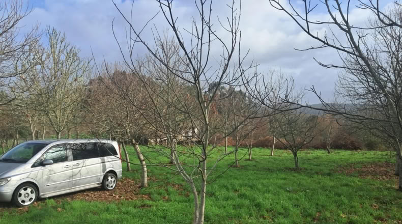 Orense - Boborás - 2200m2
