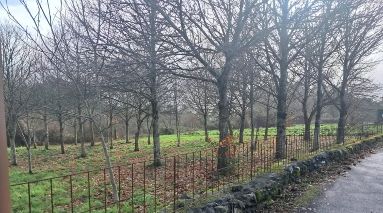Orense - Boborás - 2200m2