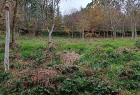 Piquín 230&nbsp;m² 