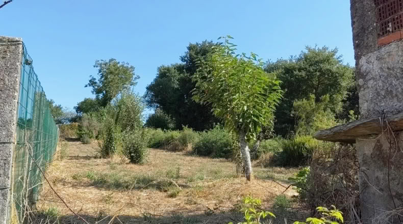 Pontevedra - Lalín - 165m2