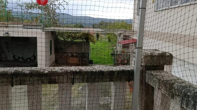 Orense - A Bola - 310m2