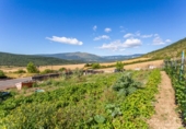 Urban land for sale on España, Ochovi, ref: TR405797 photo
