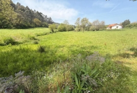 Bareyo 2975&nbsp;m²