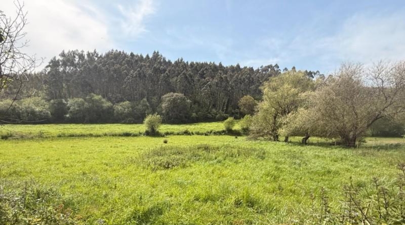 Cantàbria - Bareyo - 2975m2