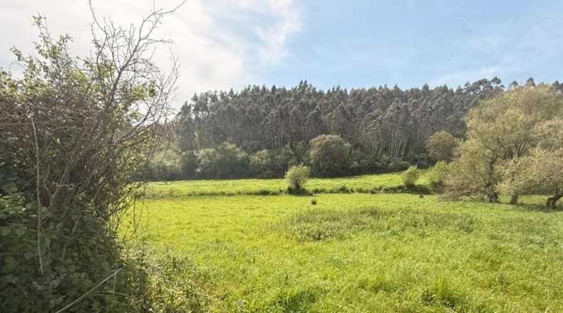 Cantàbria - Bareyo - 2975m2