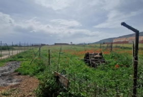 Los Yébenes 2500&nbsp;м²