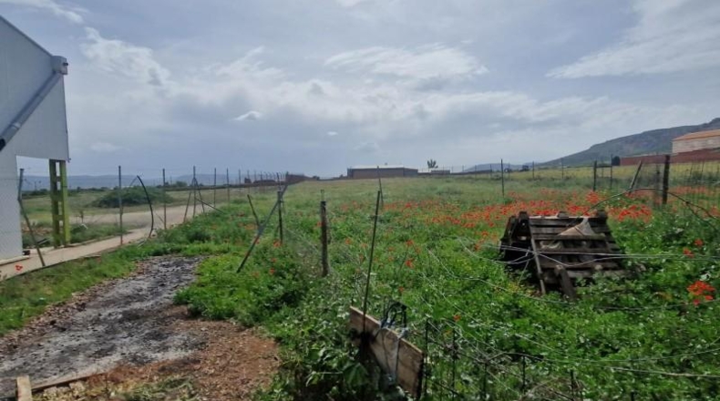 Toledo - Los Yébenes - 2500m2