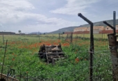 Земля на продажу у города Los Yébenes Фото