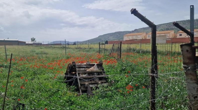 Toledo - Los Yébenes - 2500m2