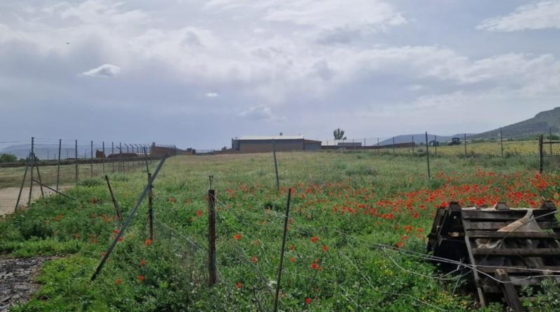 Toledo - Los Yébenes - 2500m2