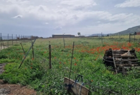 Los Yébenes 2500&nbsp;м²