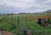 Земля на продажу у города Los Yébenes Фото