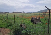 Земля на продажу у города Los Yébenes Фото