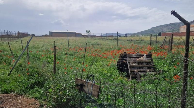 Toledo - Los Yébenes - 2500m2