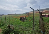 Земля на продажу у города Los Yébenes Фото