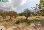 Country house with land for sale on España, Peligros, ref: TR347819 photo