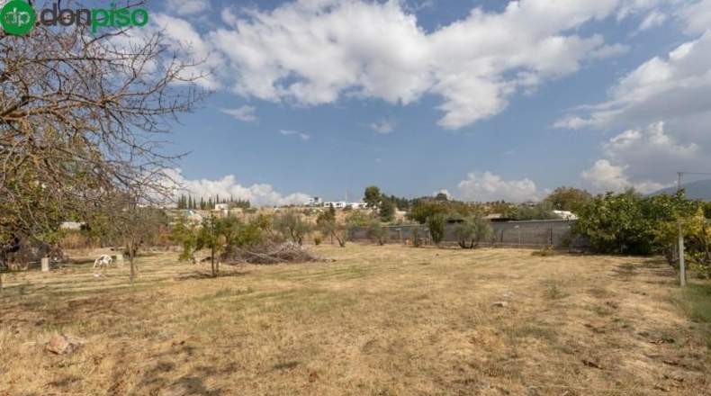 Granada - Peligros - 1690m2