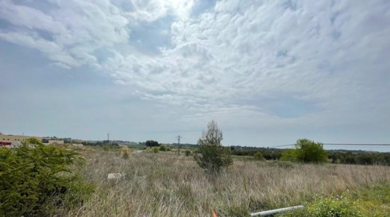 Tarragona - Puigpelat - 9850m2