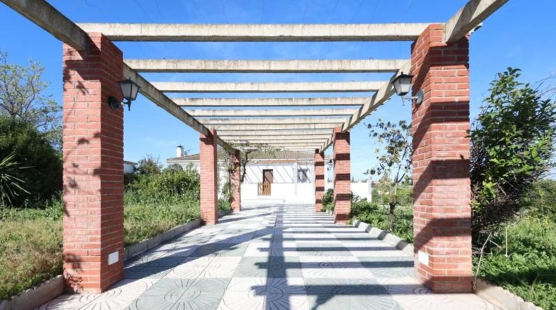 Granada - Moraleda de Zafayona - 25000m2