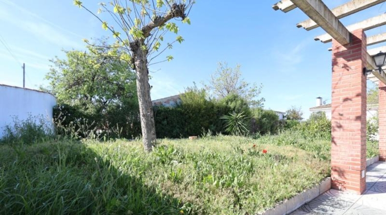 Granada - Moraleda de Zafayona - 25000m2