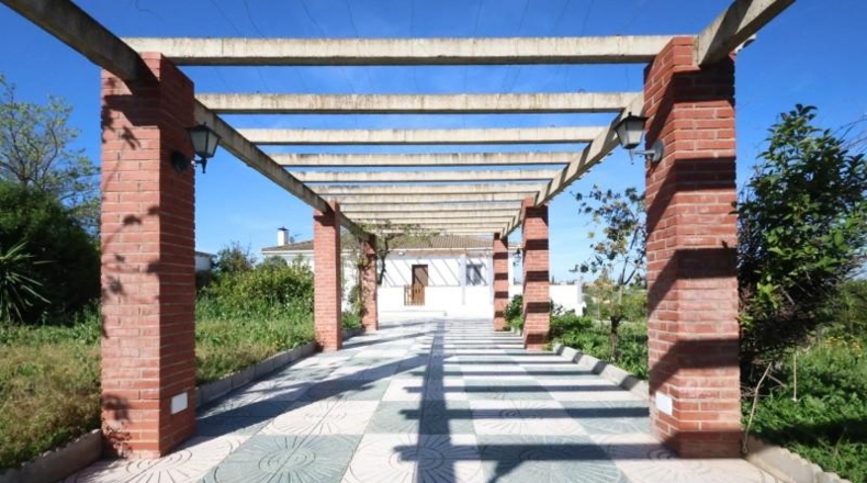 Granada - Moraleda de Zafayona - 25000m2