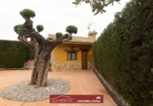 Detached villa with land for sale on España, Náquera, ref: TR405845 photo