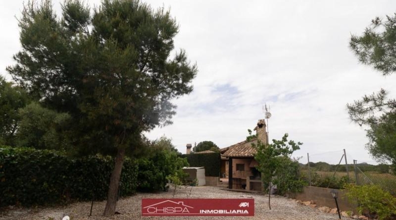 Valencia - Náquera - 825m2
