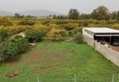 Chalet independiente con terreno en venta en la España, Campo-Mijas, ref: TR405842 foto