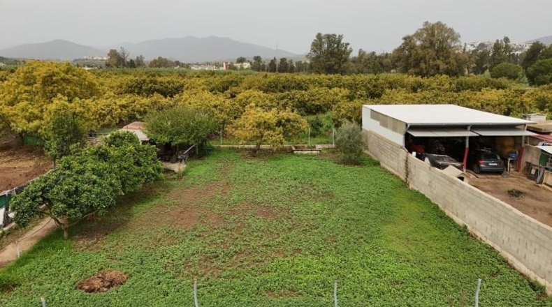Málaga - Campo-Mijas - 85m2