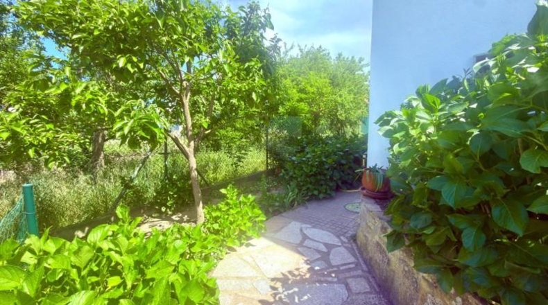 Orense - Ourense - 800m2